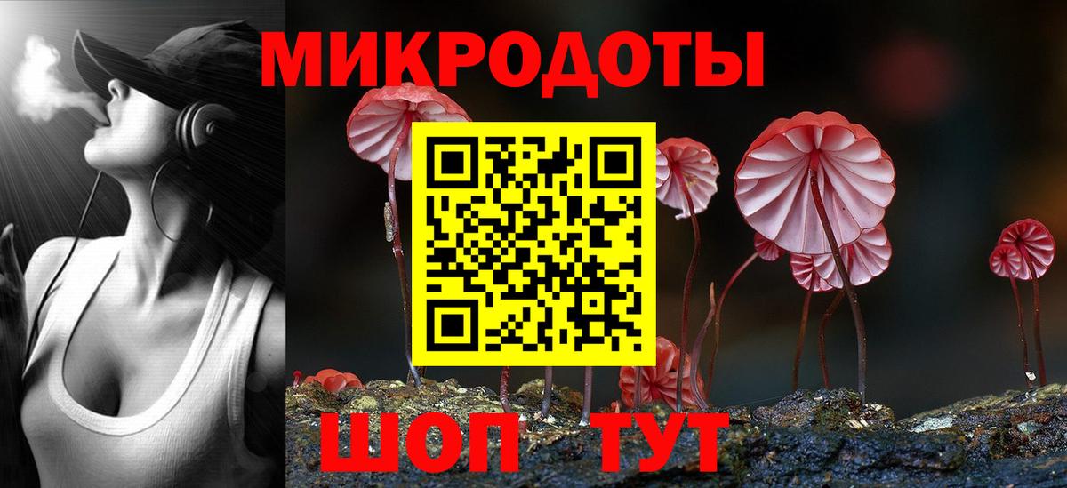 Псилоцибиновые грибы мухоморы Тамбов