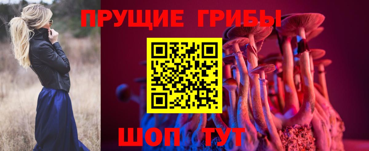 Тамбов  Псилоцибиновые грибы Magic Shrooms  Вход с VPN  Галлюциногенные грибы прущие грибы 